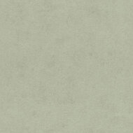 Rasch Kimono / Beachhouse 408171 Groen Behang