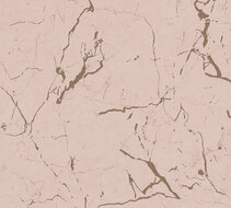 AS Creation Metropolitan Stories II Alena / St. Petersburg 37855-4 - 378554 - Roze / Beige Behang