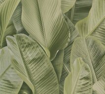 Montecolino Folium FO17803 Green Banana Leaves Behang