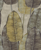 HookedOnWalls TAHITI RUBBERTREE TA25082 Behang