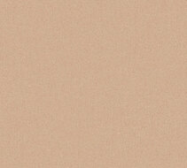 AS Creation Attractive 2 39039-6 / 390396 Oranje Behang