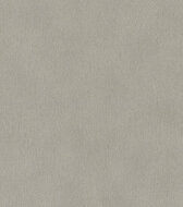 Rasch African Queen 3 - 751062 Grijs Behang