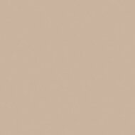 Dutch Wall Decor Hav &amp; Land 221-28 Bruin Behang