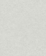 Dutch Wallcoverings Attitude A65602 Licht Grijs Behang