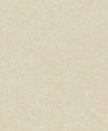 Dutch Wallcoverings Attitude A65603 Beige Behang