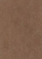 Dutch Wall Decor Collage 10385-48 Bronze / Rood Behang