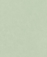Rasch Deco Style 415377 Groen Behang