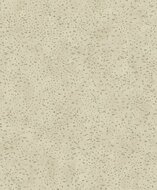 Noordwand Lustre DWP0019-02 Beige Metallic Behang