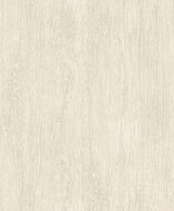 Dutch Wallcoverings Brut M764-07 Beige Behang