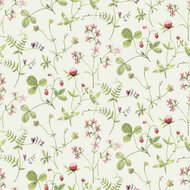 Dutch First Class Midbec Langenas 27010 Wit / Groen Behang