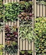 Dutch Wallcoverings Artifice M794-04 Beige / Groen Behang