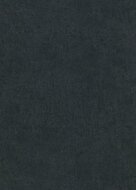 Dutch Wall Decor Play of Light 10418-15 / 5021041815 Zwart Behang