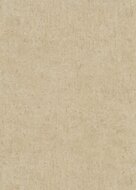 Dutch Wall Decor Play of Light 12203-32 / 5021220332 Beige Behang