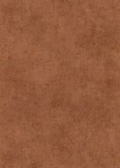 Dutch Wall Decor Elle Decoration 4 10438-13 / 1043813 Terracotta Behang