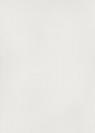 Dutch Wall Decor Spotlight 2 10403-01 / 1040301 Behang