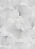 Dutch Wall Decor Elysium 10470-31 / 5021047031