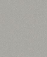 Noordwand Zen DWP0363-06 - Grijs