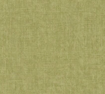 AS Creation History of Art 2 37334-4 / 373344 Groen