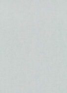 Dutch Wall Decor Breeze of Eden 2830 / 10539-43 / 5021053943 Grijs