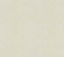 AS Creation PintWalls III 30688-9 Grijs