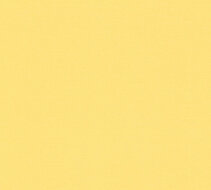 AS Creation PintWalls III 38903-6 Geel