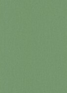 Dutch Wall Decor Wall Stories 10393-07 / 5021039307 Groen
