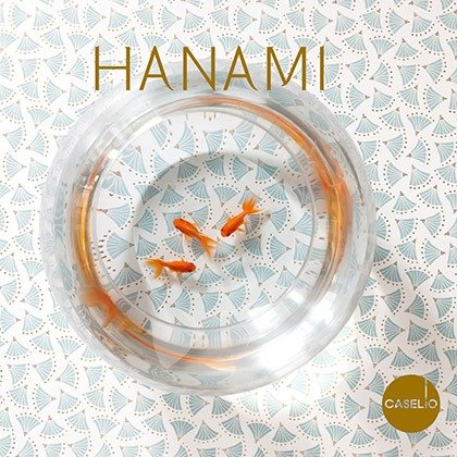 Hanami Hanami
