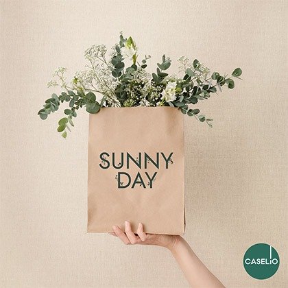 Sunny Day Sunny-Day