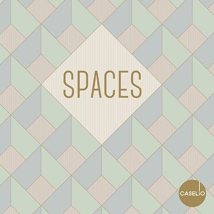 Spaces Spaces