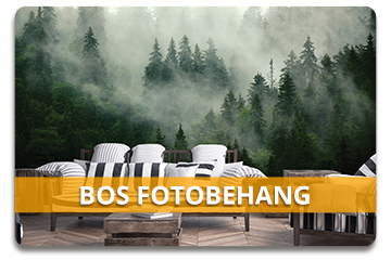 Bos