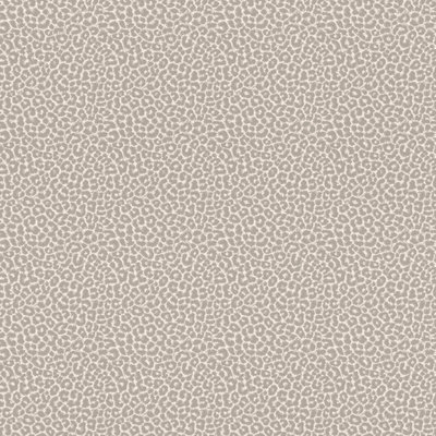 Rasch Selection Collectie 215601