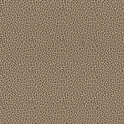Rasch Selection Collectie 215618