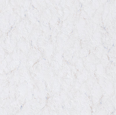 Rasch Selection Collectie 868012