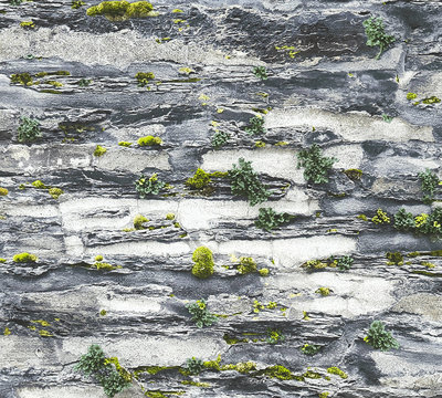 AS Creation Il Decoro 36492-1 | 364921