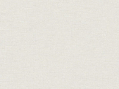 BN Wallcoverings Texture Stories Naturel 218212 - Beige