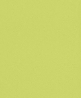Rasch Selection Collectie 610314
