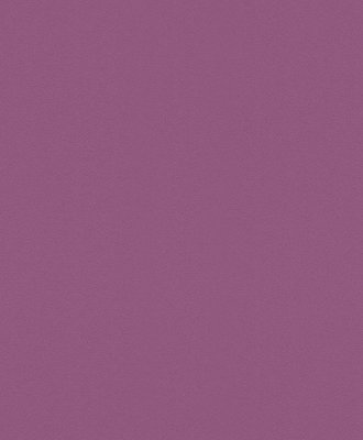 Rasch Selection Collectie 610369