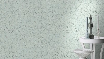 Rasch Selection Collectie 340419