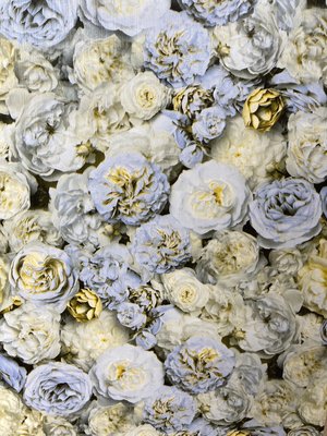The Botanical Collection - AS21201