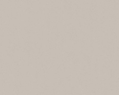 AS Creation Trendwall | 3690-55 / 369055