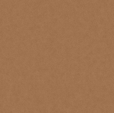 BN Wallcoverings Grand Safari 220505