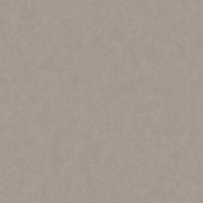 BN Wallcoverings Grand Safari 220504