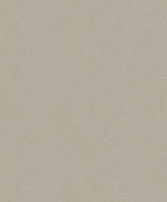 Noordwand Dune / TopChic (2021) - 32510 (Structuur Behang) - The New Textures Book