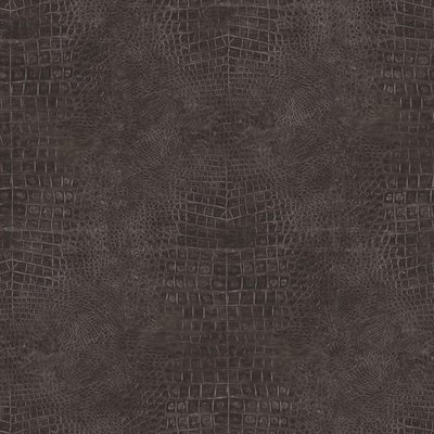 Noordwand TopChic (2021) - 68768 / G67510