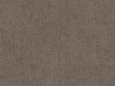 BN Wallcoverings Color Stories Bruin 220851 - Bruin