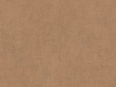 BN Wallcoverings Color Stories Bruin 220852