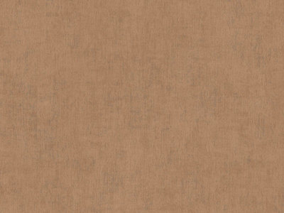 BN Wallcoverings Color Stories Bruin 220852 - Bruin