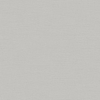 Dutch Wallcoverings Wall Fabric linen silver WF121052