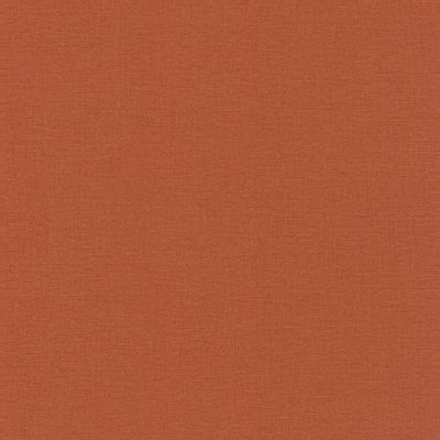 Rasch Kalahari 449051