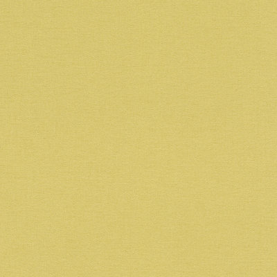 Rasch Kalahari 449839
